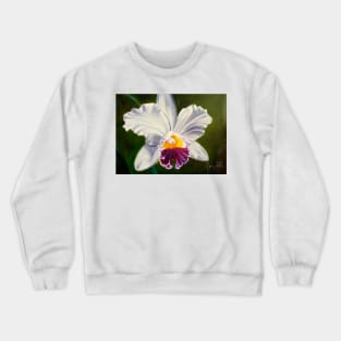 White Orchid Crewneck Sweatshirt